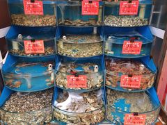 -北戴河庆山饭店·海鲜砂锅粥(北戴河黑石路店)