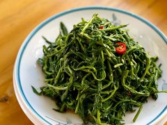 枸杞苗-三益轩(总店)