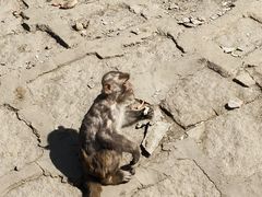 -哈尔滨北方森林动物园