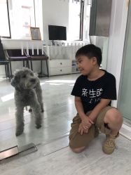 -INKIDS潮童社儿童摄影(朝阳大悦城店)