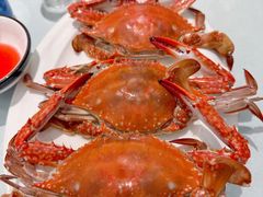 -日月昇渔家菜·海肠捞饭·大连海鲜(星海公园店)