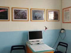 -瑞派福兴宠物医院犬猫全科·骨科·中西医结合(河东店)