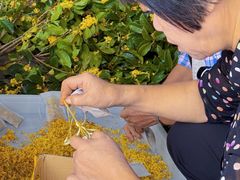 -苏州市吴中区光福窑上花果蜜饯厂