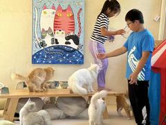 -小时光咖啡馆(开森度假森林店)
