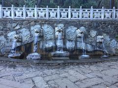 -蝴蝶泉公园