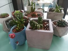-蜜蜂小象·榴莲千层蛋糕(时代汇11栋店)