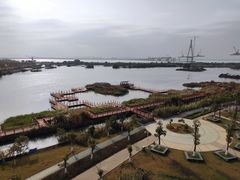 -芒洲湿地公园