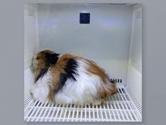 -沐沐家宠物(成寿寺店)