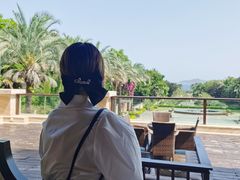 -康莱德酒店·望海阁大堂吧