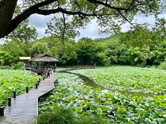 -兰亭风景区