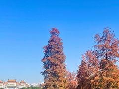 -顺峰山公园