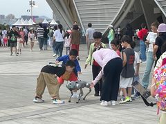 -杭州奥体中心-体育场