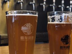 -雪梨精酿 Sydney Coast Brewing(沁春家园店)