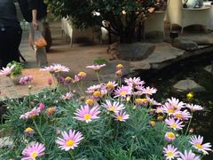 iphone_upload_pic-新竹里馆·花园餐厅(兴苑路店)