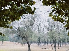 -秦皇岛野生动物园