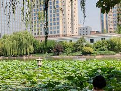 -团结湖公园