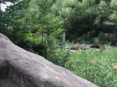 -碓臼峪自然风景区