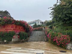 -广州市石门国家森林公园