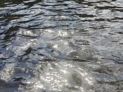 -千岛湖九龙溪漂流