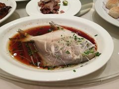 清蒸仓鳊鱼-太仓玛丽蒂姆花园酒店·雅轩中餐厅(人民北路店)