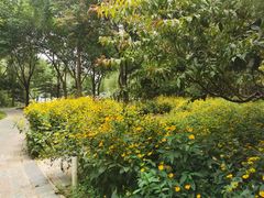 -南长河公园