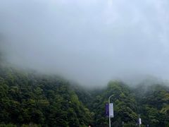 -藏龙百瀑风景区