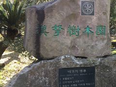 -汉拿树木园