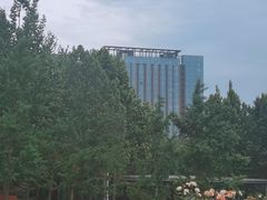 -大望京公园