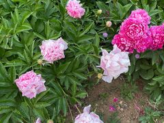 -山东大学(兴隆山校区)