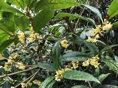 -贵阳市花溪国家城市湿地公园