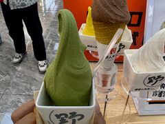 -野人先生现做冰淇淋(西安赛格店)