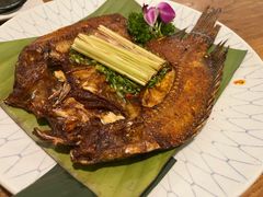 -紫滇源云南生态菜(丹凤街店)