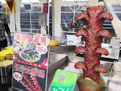-北戴河集发农业梦想王国