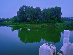 -马家湾湿地公园