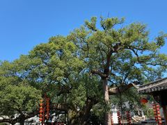 -新安江山水画廊风景区