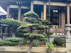 -香积寺