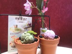 -哈根达斯(陆家浜路店)