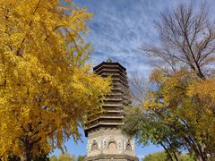 -玲珑塔公园
