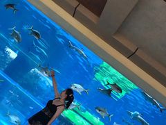 -三亚亚特兰蒂斯度假区
