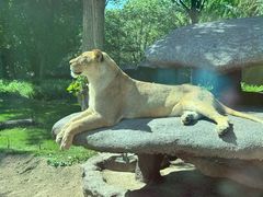 -北京野生动物园