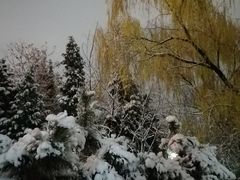 -万泉公园