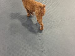-FIGHTMAN格斗俱乐部(长宁临空店)