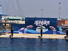 -秦皇岛乐岛海洋王国