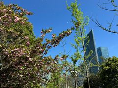 -天鹅湖体育公园