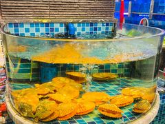-诏安海鲜馆(新浦店)