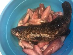 -拉威海鲜市场