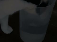 -科道动物医院·急重症中心(万达院)