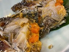 酱蟹-渔娘渔家丹东海鲜(东直门店)