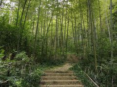 -南山风景名胜区