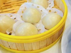 -五谷芳乳鸽王(梅沙老店)